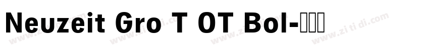 Neuzeit Gro T OT Bol字体转换